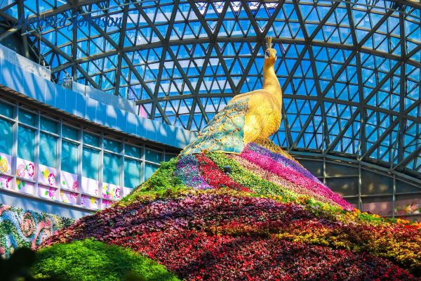 Howard Johnson City of Flower (Kunming)